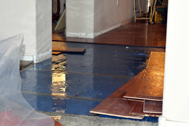 Professional Water Damage technician working in Encinal, TX